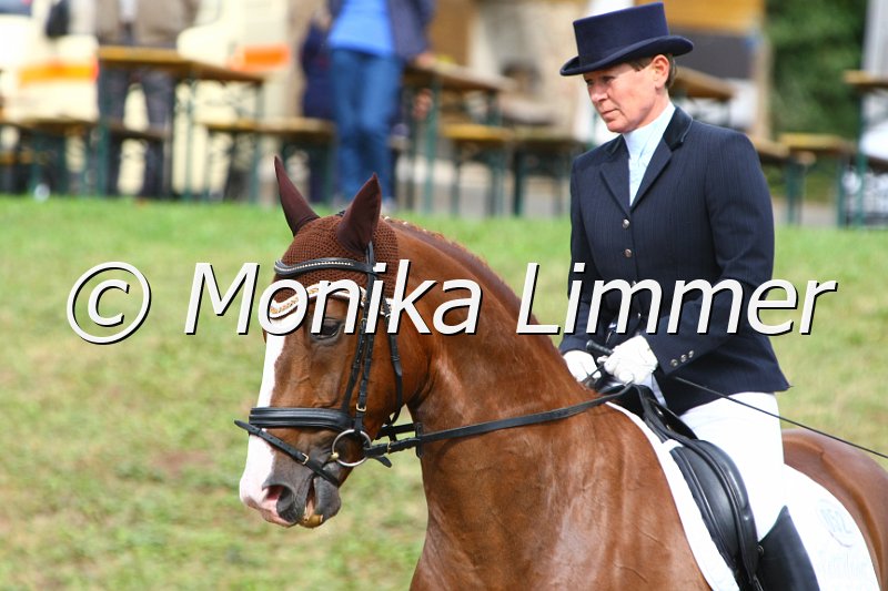 109M1961_Dry Pepper Lee_Dresspferde_A.JPG